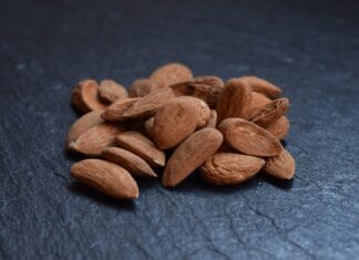 Wierzba biała – liście w kuchni dawnych czasów