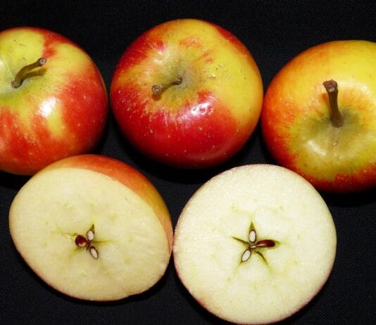 Roślinne dania w słoiku – pomysły na lunch