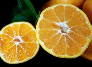 Zero Waste w kuchni – inspiracje z różnych kultur