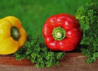 Jakie zamienniki sera najlepiej smakują w pizzy?