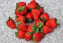 Dlaczego w kuchni roślinnej łatwiej ograniczyć marnowanie jedzenia