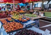 Lasagne bez sera – kremowe i pełne smaku