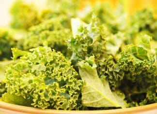 Jak przekonać bliskich do szanowania mojego wyboru diety roślinnej?